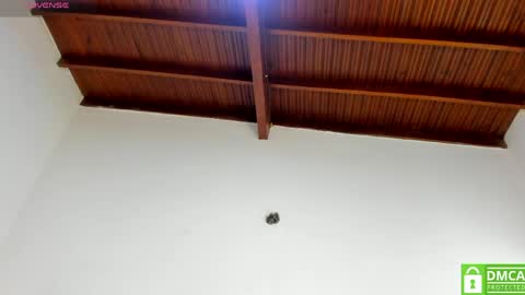 valtira nova online show from 03-23-26, 07:07