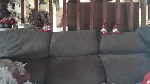 Snapshot of vampwoman chatting on 12-14-24, 10:13 vampwoman online show from 12-14-24, 10:13