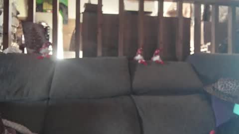 Snapshot of vampwoman chatting on 12-15-24, 09:03 vampwoman online show from 12-15-24, 09:03