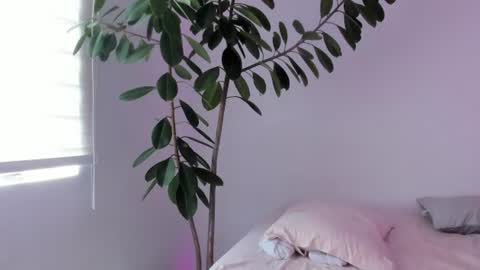 Snapshot of vandalovee chatting on 07-02-26, 04:02 Babi Alu online show from 07-02-26, 04:02