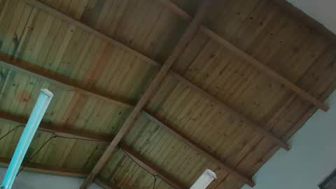 VENUS online show from 11-29-25, 11:57