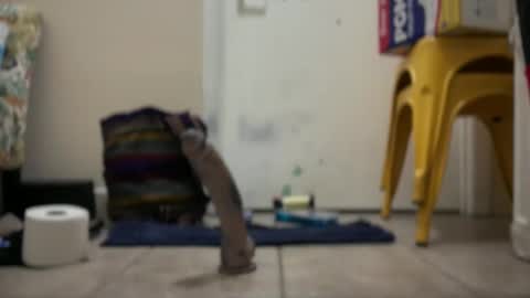 Snapshot of verona365 chatting on 09-22-25, 02:02 Hmartinez365 online show from 09-22-25, 02:02
