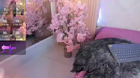 veronica_hill_ online show from 06-18-26, 03:18