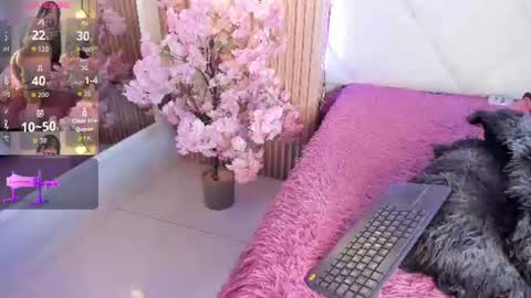 veronica_hill_ online show from 06-24-26, 03:05