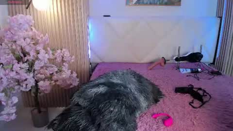 veronica_hill_ online show from 07-29-26, 03:15