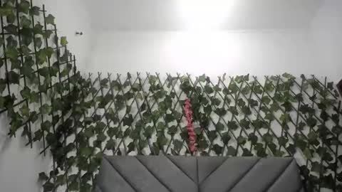 Frida online show from 11-26-25, 12:00