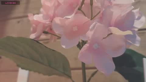 vickyvalencia2 online show from 07-19-26, 12:25