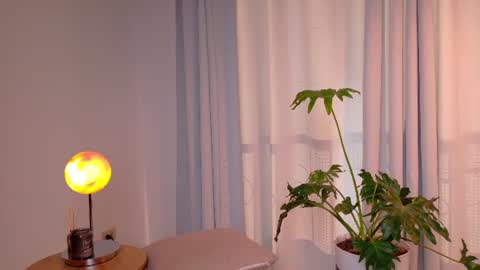 VictoriaNova online show from 07-14-26, 10:15
