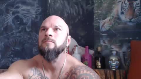 viking online show from 11-11-25, 08:14