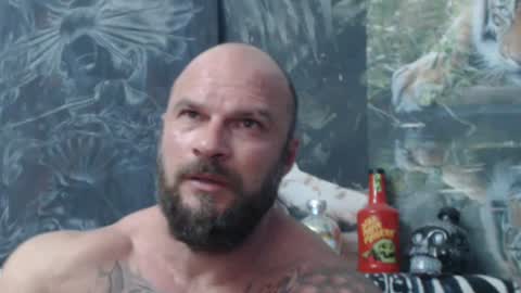 viking online show from 06-21-26, 06:10