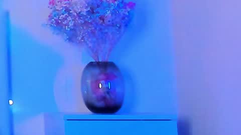 VIKKI online show from 01-29-25, 07:11