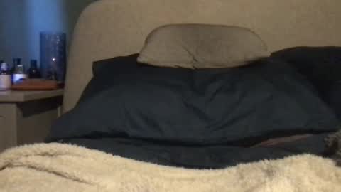 Snapshot of vinny440 chatting on 03-03-25, 11:00 Vinny online show from 03-03-25, 11:00