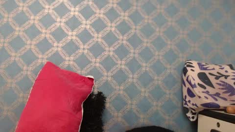 Violeta  online show from 01-10-25, 10:15