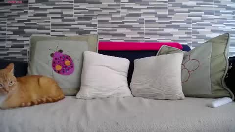 Violeta Gmez online show from 07-07-26, 04:11