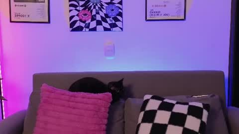 Violet online show from 06-26-26, 11:09