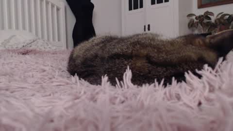 Snapshot of visceratio chatting on 02-07-25, 09:15 Visceratio online show from 02-07-25, 09:15