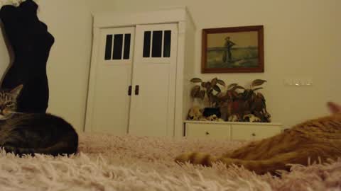 Snapshot of visceratio chatting on 02-10-25, 06:24 Visceratio online show from 02-10-25, 06:24