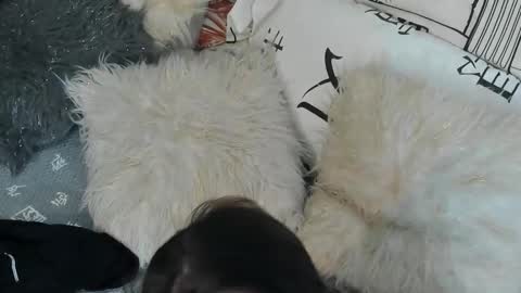 Snapshot of vitaxviper chatting on 09-30-25, 11:32 Vit a Viper online show from 09-30-25, 11:32