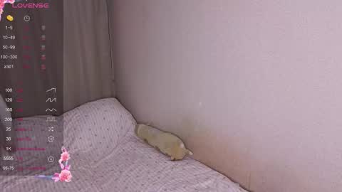 vitterrick online show from 11-25-25, 04:07