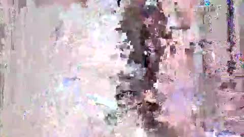 vitto_hammer5758 online show from 02-21-26, 09:49