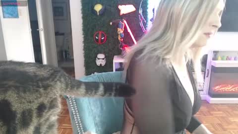 Vixen online show from 05-31-26, 02:13