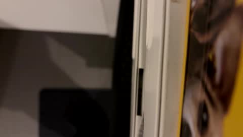 Snapshot of vm93m chatting on 12-06-24, 11:25 John online show from 12-06-24, 11:25