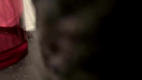 Snapshot of vm93m chatting on 12-22-24, 05:21 John online show from 12-22-24, 05:21