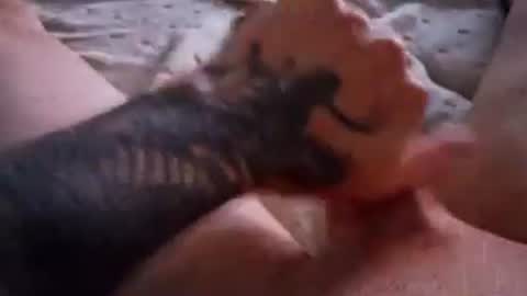 Leakyknob online show from 07-26-26, 01:29
