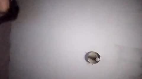 Snapshot of vujadetr chatting on 09-20-25, 07:42 vujadetr online show from 09-20-25, 07:42