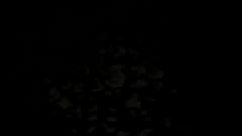 Snapshot of w2456 chatting on 11-25-25, 11:38 w2456 online show from 11-25-25, 11:38