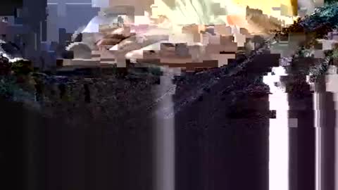 wanttowatch87 online show from 02-12-25, 03:51