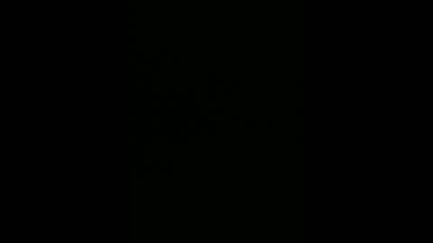 warp147 online show from 04-11-26, 02:49