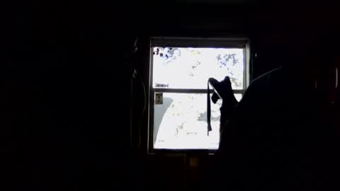 waterfire420 online show from 01-05-25, 04:59