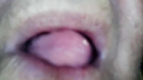 wayne1311 online show from 01-13-26, 02:22