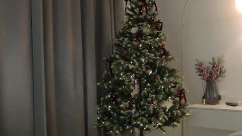 CAREN online show from 01-08-25, 12:47