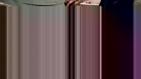 Breedee Boy online show from 12-24-24, 09:28