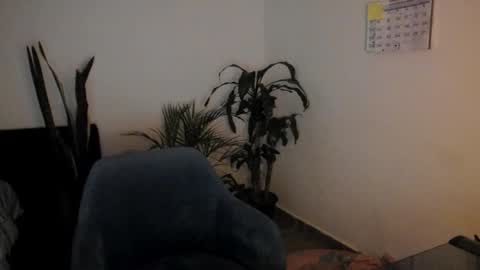 Snapshot of west_ta chatting on 09-26-25, 11:09 tatty online show from 09-26-25, 11:09