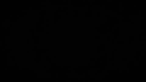 Denise Debs online show from 03-16-26, 05:17