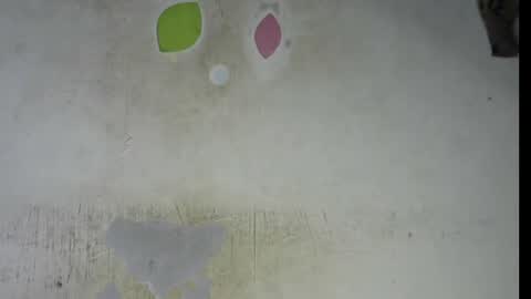 Snapshot of wet_pussy200 chatting on 02-06-26, 09:29 Bella online show from 02-06-26, 09:29