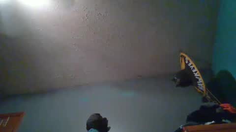 wetduck77777 online show from 10-05-25, 08:01