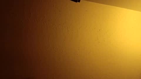 wetduck77777 online show from 06-08-26, 06:47