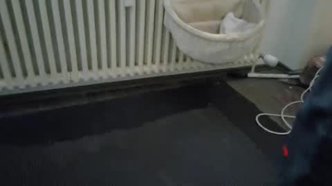 Wetgerman online show from 03-11-25, 03:45