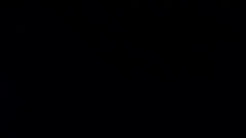 Snapshot of whitehead_lion chatting on 01-20-25, 07:57 whitehead_lion online show from 01-20-25, 07:57