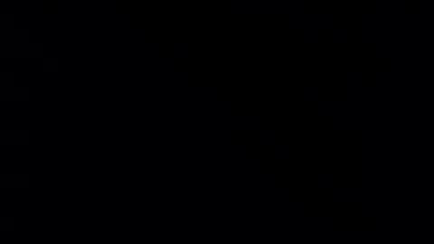 Snapshot of whitehead_lion chatting on 02-21-25, 05:31 whitehead_lion online show from 02-21-25, 05:31