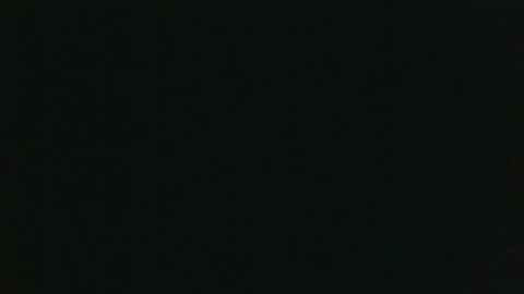 Snapshot of whitehead_lion chatting on 12-15-25, 08:24 whitehead_lion online show from 12-15-25, 08:24