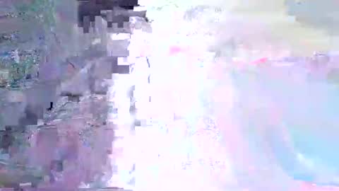 wild lemont online show from 11-01-25, 11:34