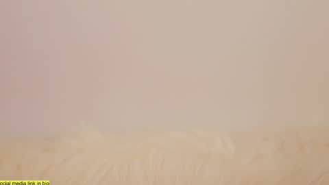 wild_schoolgirl online show from 01-13-25, 10:24