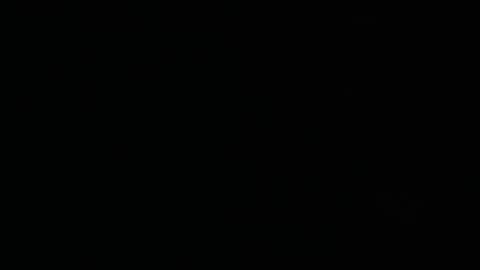 Snapshot of wildkittytrans chatting on 02-23-25, 07:49 CHRISTINE online show from 02-23-25, 07:49