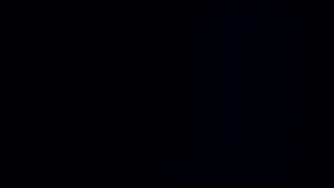 wildman3845 online show from 01-08-25, 12:05