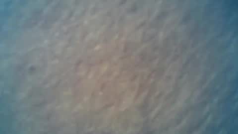 wildman6 online show from 02-15-25, 09:26